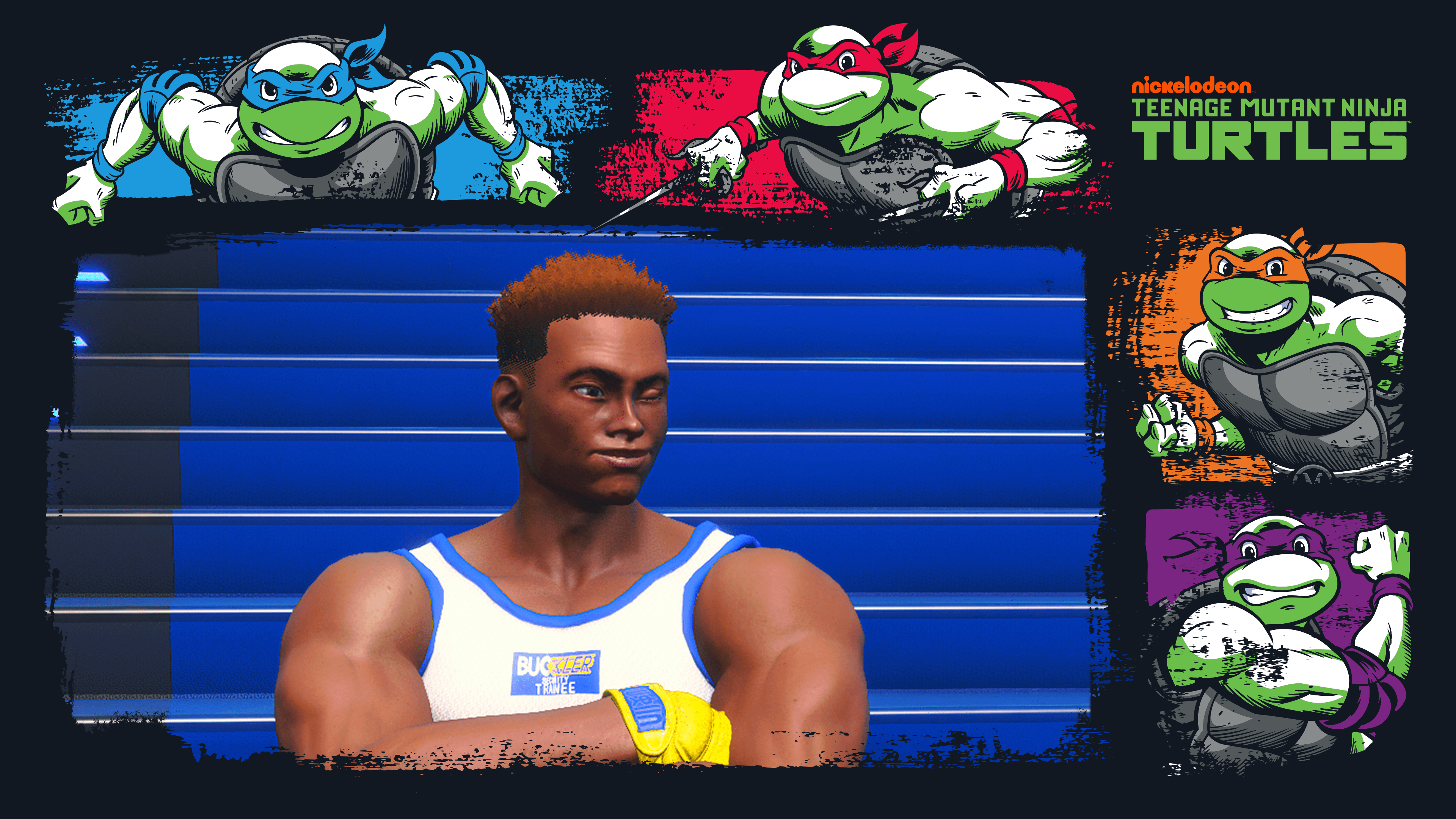 SF6 TMNT