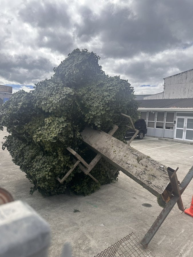 minecraft movie tree prop